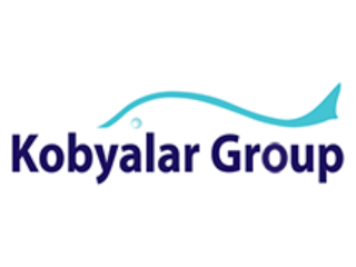 Kobyalar Grup